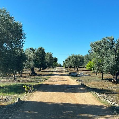 オストゥーニ Ristrutturato 2024 - Trullo Falghero Con Piscina Privataヴィラ エクステリア 写真