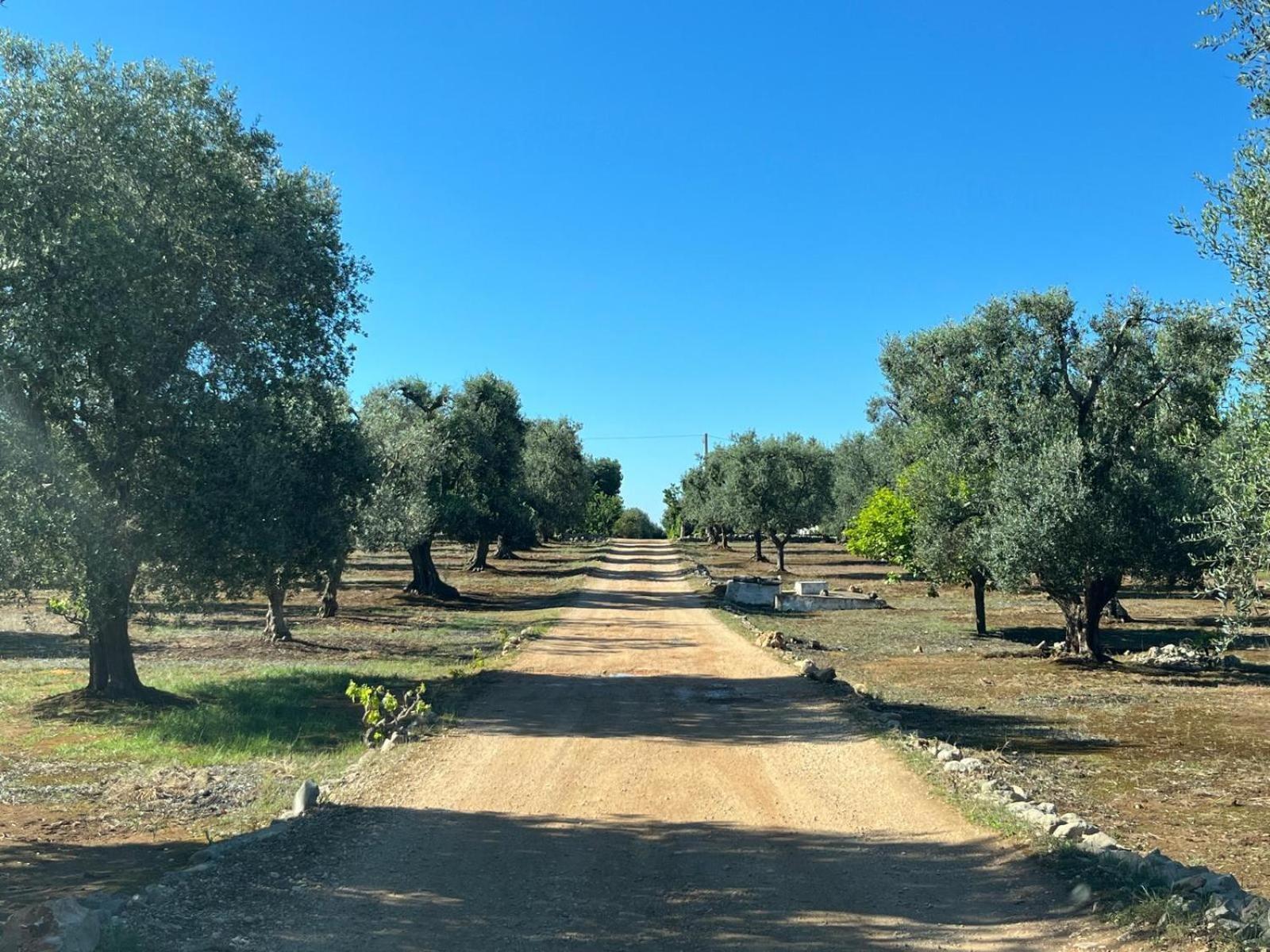 オストゥーニ Ristrutturato 2024 - Trullo Falghero Con Piscina Privataヴィラ エクステリア 写真